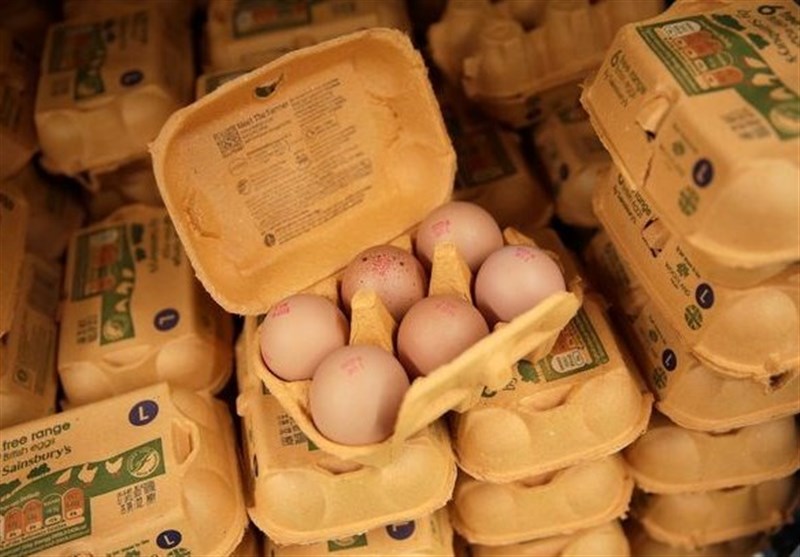 عرضه تخم مرغ فاقد نشانه‌گذاری در بازارهای خراسان رضوی ممنوع شد