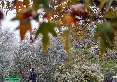  هواشناسی ایران ۱۴۰۱/۰۹/۱۲؛ سامانه بارشی فردا وارد کشور می‌شود/ هشدار زرد هواشناسی برای برخی استان‌ها 