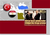 واکنش رسانه‌های ترکیه به دیدار اردوغان با سیسی؛ 3 شرط قاهره برای آنکارا