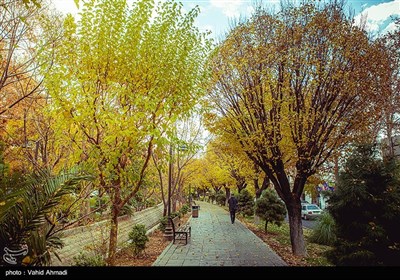 روزهای پاییزی در تهران