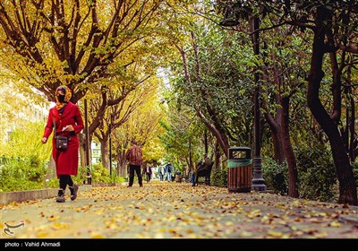روزهای پاییزی در تهران