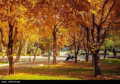روزهای پاییزی در تهران