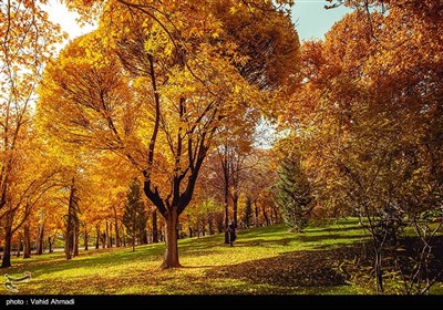 أیام خریفیة فی طهران