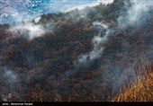 زنگ خطر آتش‌سوزی در جنگل‌های هیرکانی/ افزایش دما در استان گلستان