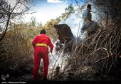 پایان آتش سوزی جنگلهای جنوب گیلان