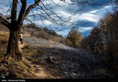 پایان آتش سوزی جنگلهای جنوب گیلان