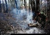 آتش‌سوزی جنگل‌های پلدختر پس از 4 روز مهار شد