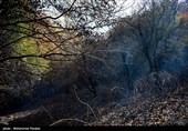 آتش‌‌سوزی 170 هکتار از جنگل‌های چگنی لرستان+ فیلم