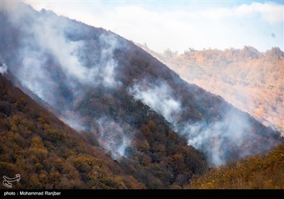 آتش‌سوزی وسیع در جنگل‌های بهشهر و الندان ‌ساری/ مردم به کمک بروند