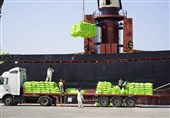 آیا کامیون‌داران در بندر بوشهر اعتصاب کرده‌اند؟/ گزارش تسنیم را ببینید + فیلم