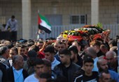 Senior EU, UN Officials Call for Probe into Israeli Killing of Palestinian Youth