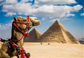 تلاش مصر برای جذب تماشاگران جام‌جهانی 2022 برای رهایی از وضعیت وخیم گردشگری