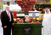 بررسی واردات میوه توسط یک شرکت اماراتی_اسرائیلی در کمیسیون کشاورزی مجلس