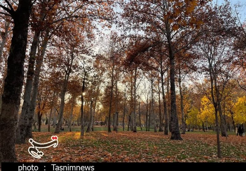 برگ ریزان پاییز در پارک ملت مشهد+ تصاویر