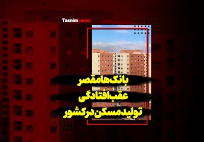 فیلم| بانکها مقصر عقبافتادگی تولید مسکن در کشور