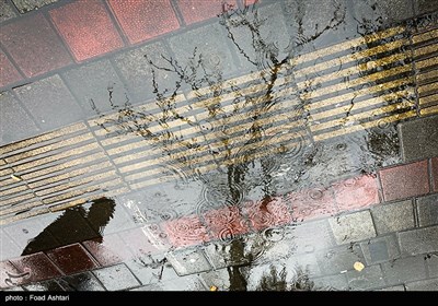 روز بارانی تهران