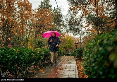 باران پاییزی تهران