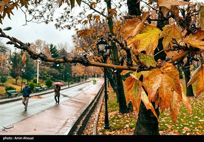 روز های بارانی پاییز در تهران