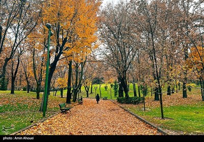 روز های بارانی پاییز در تهران