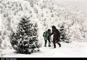 بارش 10 سانتی‌متری برف در مشهد/ ماندگاری سرما در خراسان رضوی