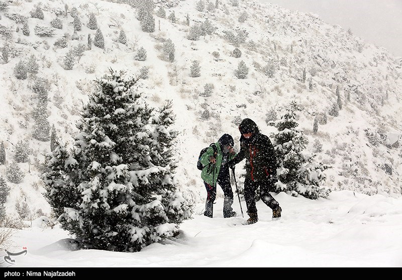 بارش 18 سانتی‌متری برف در روستای گنبد همدان