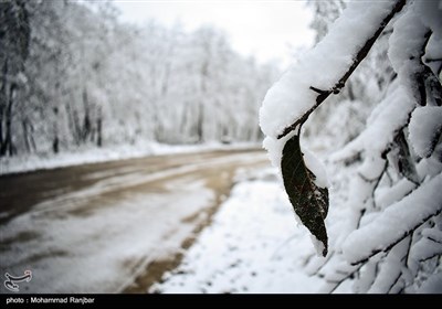 بارش برف در ارتفاعات گیلان 