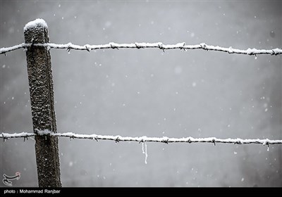 بارش برف در ارتفاعات گیلان 