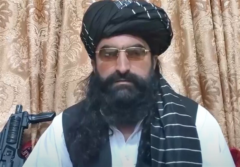 تحریک طالبان پاکستان: حمله پهپادی آمریکا به کابل روند مذاکرات صلح را مختل کرد