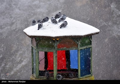 تساقط الثلوج في "ماسوله" شمال إيران