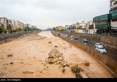 بارش باران در شیراز