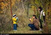 پاییز در پیاده راه بهشت شیراز