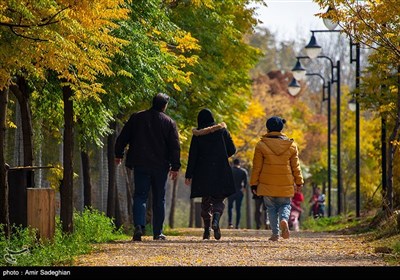 پاییز در پیاده راه بهشت شیراز