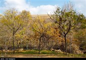 پاییز در پیاده راه بهشت شیراز