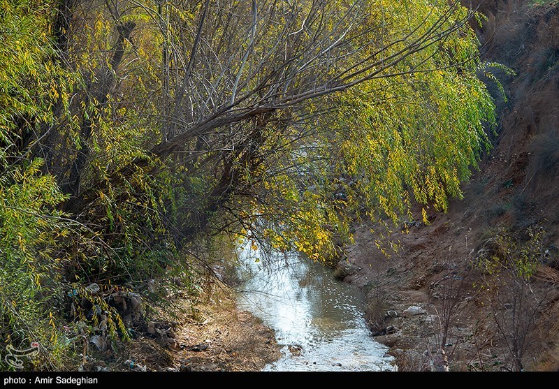 پاییز در پیاده راه بهشت شیراز
