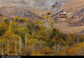 طبیعت پاییزی روستای نایه - قم