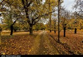 طبیعت پاییزی روستای نایه - قم