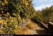 طبیعت پاییزی روستای نایه - قم