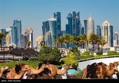 2022 Katar Dünya Kupasınde Şehirden Kareler