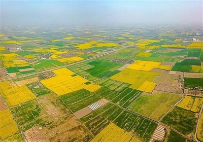 صدور سند مالکیت 360 هزار هکتار از زمین‌های کشاورزی خوزستان