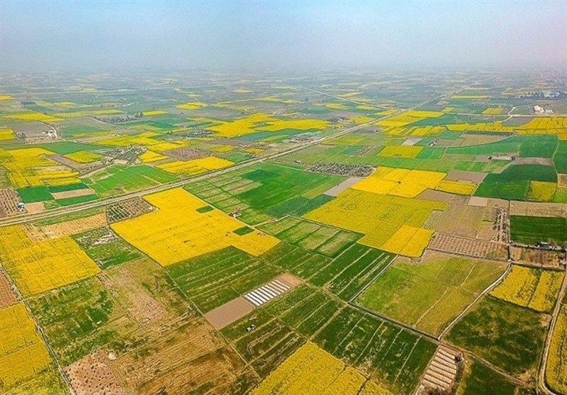 تغییر کاربری 539 هکتار زمین در خوزستان به نفع نهضت ملی مسکن