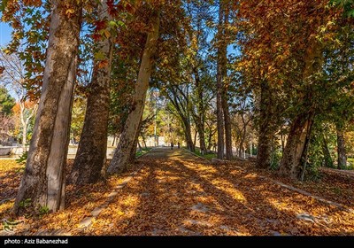باغ گلستان قلعه فلک الافلاک خرم آباد 