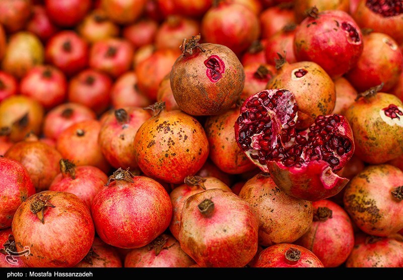 قیمت عمده فروشی انواع میوه در آستانه شب یلدا؛ هندوانه 5 تا 12 هزار تومان