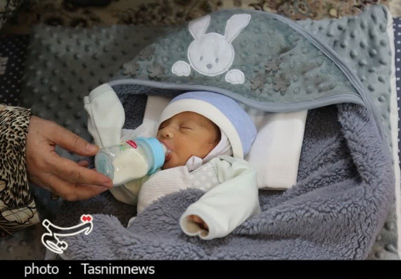پرداخت 450 میلیون تومان به خانواده‌های دارای فرزندان 3 قلو در استان بوشهر