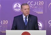 اردوغان: ترکیه عرضه غلات روسیه به کشورهای فقیر آفریقایی را دنبال می کند