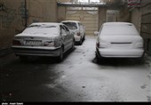 بارش برف استان قزوین را سفیدپوش کرد/ مدارس تعطیل شد + تصویر