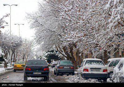 بارش برف در ابهر