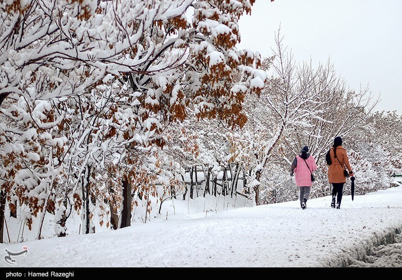 برف و کولاک در راه استان زنجان/دمای هوا به منفی 20 درجه می‌رسد