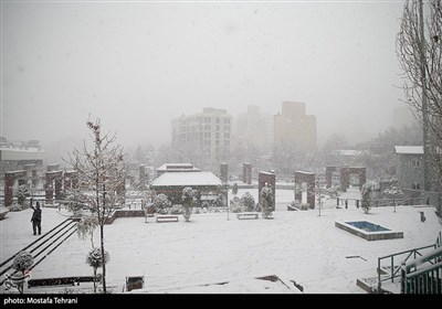 اولین برف زمستانی در تهران