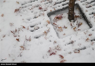 اولین برف زمستانی در تهران