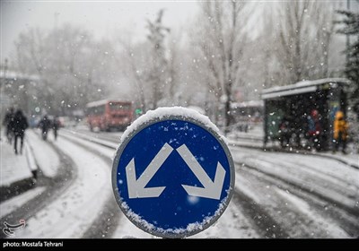 Snow Blankets Tehran
